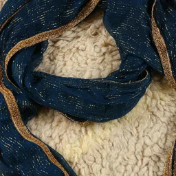 Mustard Teal Chanderi Textured Dupatta image 4