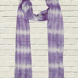 Dupatta Bazaar Women Woven Design Stole-image-29
