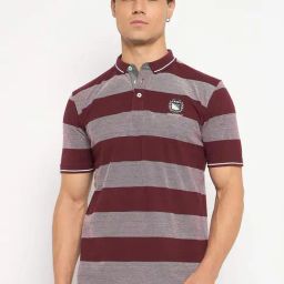 Duke Wine Slim Fit Striped Polo T-Shirt-image-36
