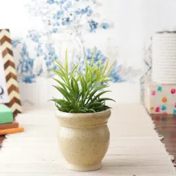 VarEesha Off white Ceramic Planter Pot - Set of 2-image-77