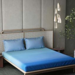 DDecor Blue Cotton 210 TC King Size Bedsheet With Pillow Covers-picture-43