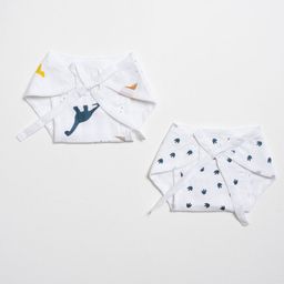 Aariro Organic Cotton Nappy Little Dino  Set of 2-15
