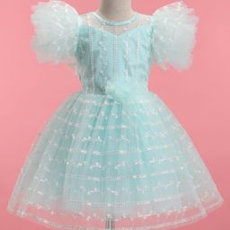Bluebell Net Woven Frill Sleeves Floral Embroidered Party Frock with Applique - Aqua Blue-image-73