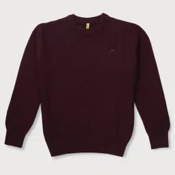 Gini & Jony Kids Maroon Cotton Textured Pattern Full Sleeves Sweater-image-11