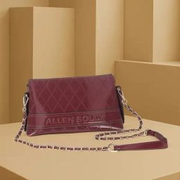 Allen Solly Maroon Textured Shoulder Bag-picture-9