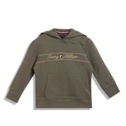 Tommy Hilfiger Kids Grey Embroidered Full Sleeves Hoodie-image-71