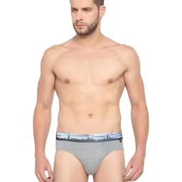 Van Heusen Grey Cotton Regular Fit Briefs-picture-39