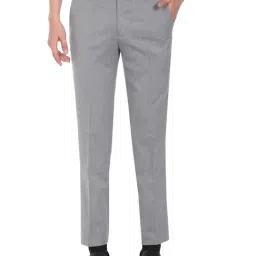 Arrow Light Grey Regular Fit Self Pattern Trousers-image-66