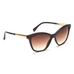 IRUS By IDEE Brown Cat Eye Sunglasses for Women-picture-19