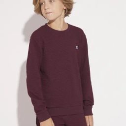 Jack & Jones Junior Maroon Cotton Blend Regular fit Textured Sweatshirt-picture-17