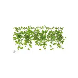 AS ONE Green Fern Legerland W180 × H70 cm Size Made Of Vinyl Chloride, 61-174-2-1-image-95