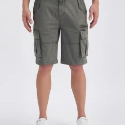 Pepe Jeans Grey Cotton Regular Fit Cargo Shorts-image-21