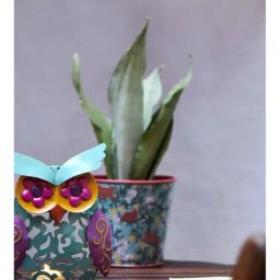 Chumbak Power Owl Green & Pink Iron Tealight Holder - Set of 1-image-4