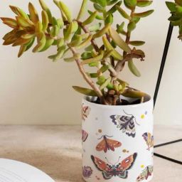 Gathari White & Orange Ceramic Desk Planter-image-33
