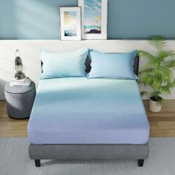 Nautica Bradford Mint & Sky Blue 160 TC Cotton King Bedsheet with 2 Pillow Covers-image-52