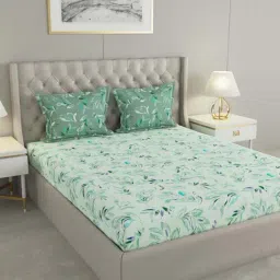 Raymond Home Mystique Green 110 TC Cotton Queen Bedsheet with 2 Pillow Covers-image-74