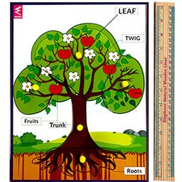 WISSEN Wooden Tree Parts Knob and Peg Puzzle Multicolor - 5 Pieces-10