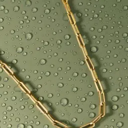 Accessorize London Gold Stainless Steel Necklaces-picture-29