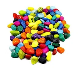 Somil Multicolor Pabbles/Stone for Garden, Plants, Aquarium & Home Decor Wt. 950g- P38-image-13