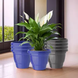 Kuber Industries 8 Pcs Blue & Black Lightweight Planters-16