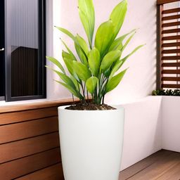 RUBOXA Plain Tower White UV-ProtectedPlanters With Plate-6