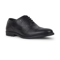 Lee Cooper Men Black Formal Shoes-image-65
