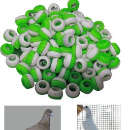 Multicolor Sound Plastic Foot Ring Green+White 100 Pcs Bird Shoulder Guard-picture-10