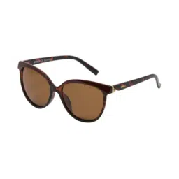 Enrico Eyewear Brown Cat Eye Sunglasses for Women-picture-25