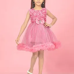 Aarika Net Fit & Flare Dress-52