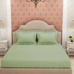 Spaces Light Green Cotton 600 TC King Bed Sheet With Pillow Covers-image-89