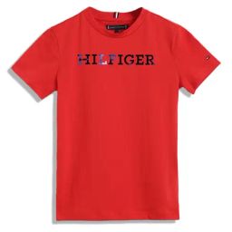 Tommy Hilfiger Kids Red Printed Regular Fit T-Shirt-35