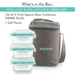 Magnus Borosilicate Glass Vivid Lunch Box With Pouch & 3 Square Containers (320 Ml Each) image 2