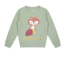 Plum Tree Kids Sage Green Printed Full Sleeves Sweatshirt-image-54