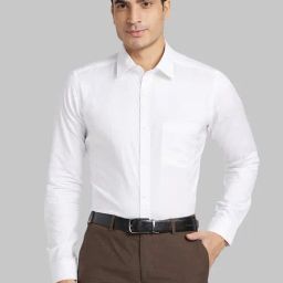 Raymond White Cotton Slim Fit Self Pattern Shirt-picture-38