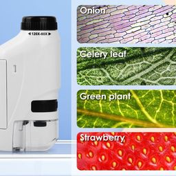 Groot Troco Portable Plus 60x-120x Power Microscope with LED Light for Students (White) image 5