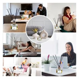 Soul & Scents Lemongrass Fragrance 120 ml Reed Diffuser Set with 6 Sticks image 4