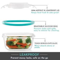 Magnus Borosilicate Glass Vivid Lunch Box With Pouch & Includes 2 Square Containers (320 Ml Each) image 4