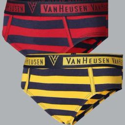 Van Heusen Regular Fit Colour Fresh Ultra Soft Striped Briefs - Pack of 2 - KDS04 , KDS02-picture-19