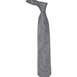 Peter England Grey Printed Tie-picture-23