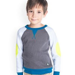 Cherry Crumble By Nitt Hyman Raglan Full Sleeves Color Blocked Sporty Sweatshirt - Grey-image-37