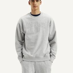 Levi's Grey Regular Fit Printed Sweatshirt-image-4