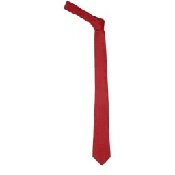 Peter England Red Printed Tie-image-61