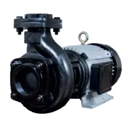 CG 7.5 HP 3 Phase Centrifugal Monoblock Pump Set, CGXMB07N52-image-96