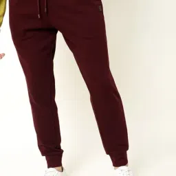 Rare Rabbit Maroon Cotton Regular Fit Solid Joggers-picture-9