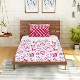 Spaces Pink 144 TC Cotton Single Bed Sheet with Pillow Cover-image-46