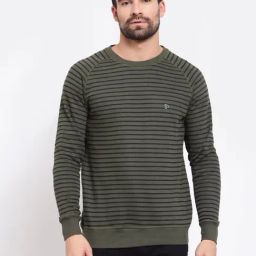 Sporto Olive Regular Fit Striped Sweatshirt-image-62
