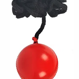 HackerX Pebble Trainy Sports Cricket Ball-22