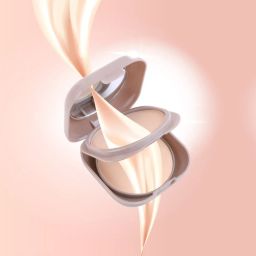 Half N Half Hyper Glow Matte Effect Pressed Powder 04 Honey Glow - 20 gm image 4