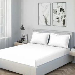 DDecor Solid White 180 TC Cotton King Bed Sheet With 2 Pillow Covers-picture-34
