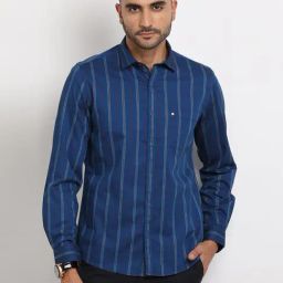 Turtle Blue Cotton Slim Fit Striped Shirt-image-94